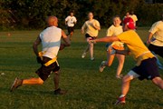 OTFL Gallery Image